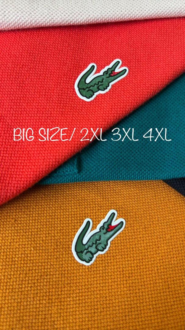 LACOSTE POLO SHORT SLEEVE SHIRT BIG SIZE