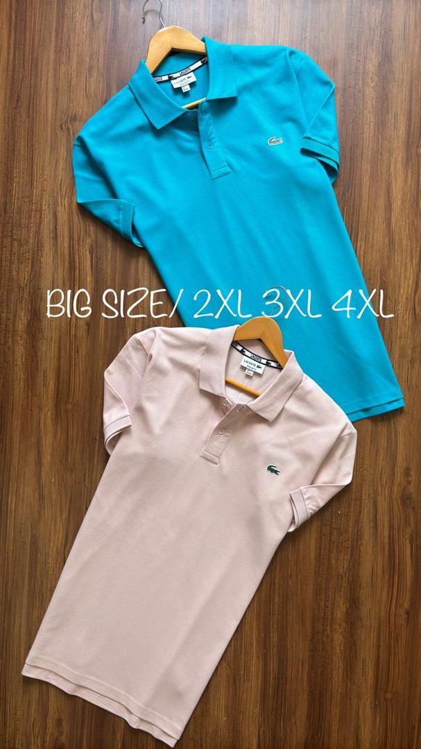 LACOSTE POLO SHORT SLEEVE SHIRT BIG SIZE