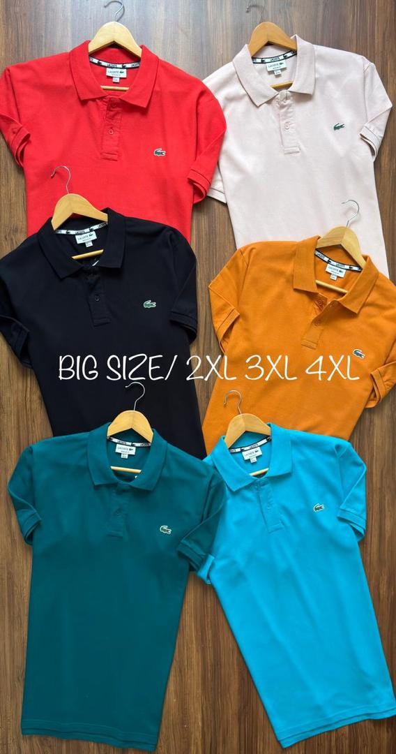 LACOSTE POLO SHORT SLEEVE SHIRT BIG SIZE